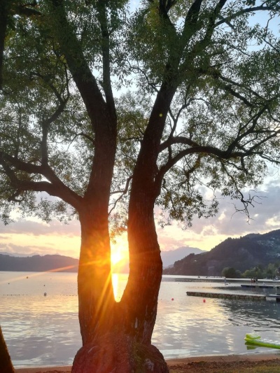 Unser eigener Strand, noch mit der alten Weide Unser eigener Strand, noch mit der alten Weide